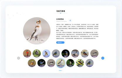 交互設(shè)計、UI設(shè)計、網(wǎng)站設(shè)計