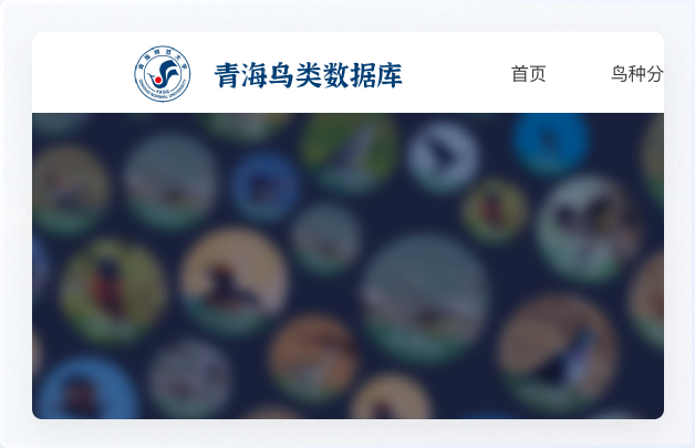 交互設(shè)計、UI設(shè)計、網(wǎng)站設(shè)計